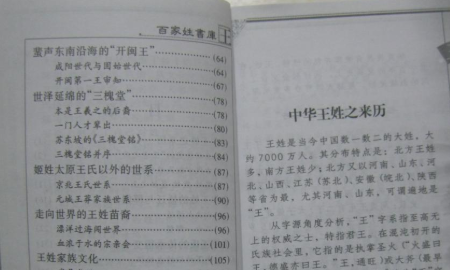 王姓有内涵好听的名字,王姓罕见好听的名字四个字图7