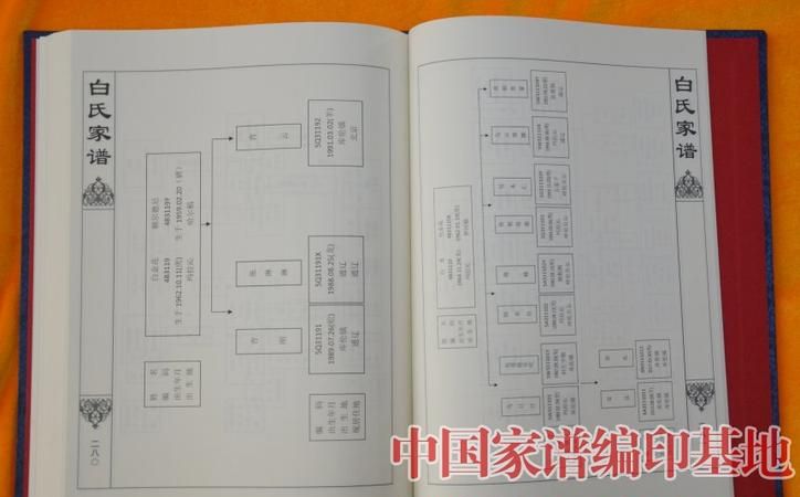 中国家谱网查询,中国最完整的家谱有哪几个姓图1