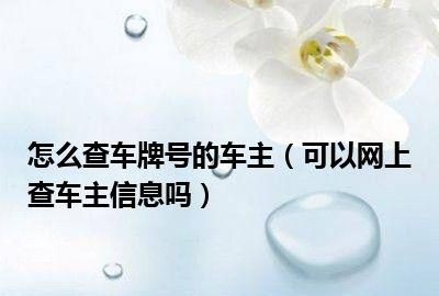 车牌查询车主身份,电动车牌号能查到个人信息吗图8