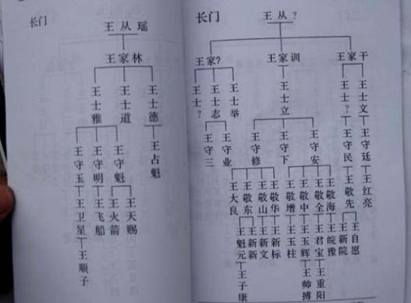 王氏家谱查询字辈启发世德永兴,王姓家谱字辈大全图1