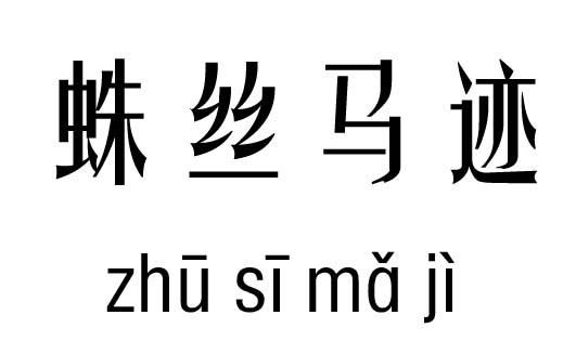 蛛丝马迹的意思,蛛丝马迹是什么意思图2