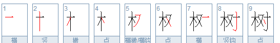 树的拼音和笔顺,树字笔画顺序怎么写图1