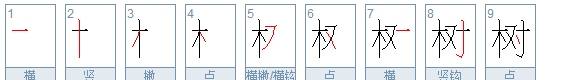 树的拼音和笔顺,树字笔画顺序怎么写图4