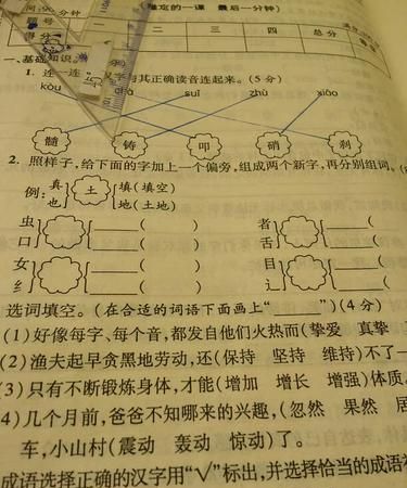 力组词两个字 力在后面,力的组词力在前面图1