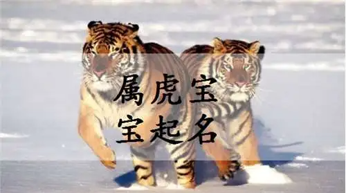 虎宝宝取名字最佳字,属虎的宝宝取什么名字最好图2