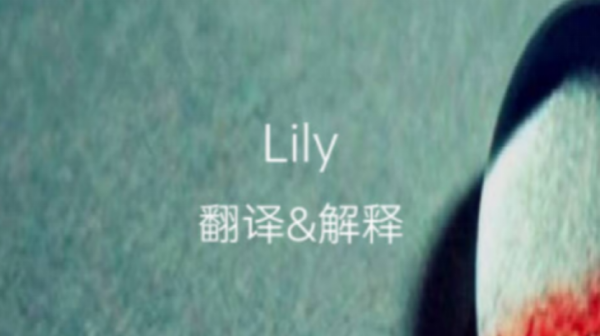 常用英文名女lily,一个叫莉莉的女孩的英文图4