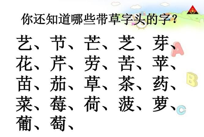 草字头最吉利的字女孩,草字头的字图3