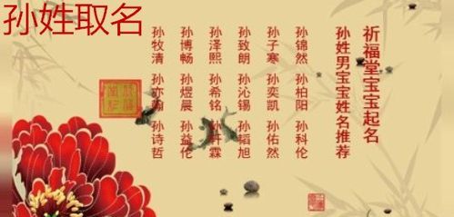 孙姓取名字大全男孩,孙姓男孩名字大全2022属虎图3