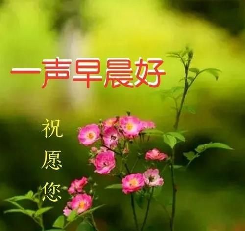 简短祝福语唯美,古风新年祝福语 唯美简短图4