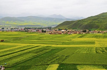 田的组词幼儿园,田的组词有哪些词语图2