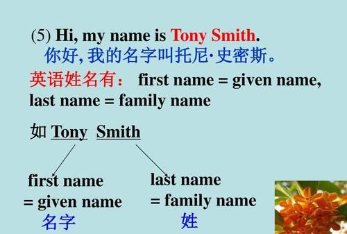 first name是名还是姓,为什么lastname是姓firstname是名字图2