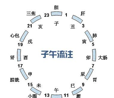 十二时辰对照表,十二时辰与二十四小时对照表金木水火土图3