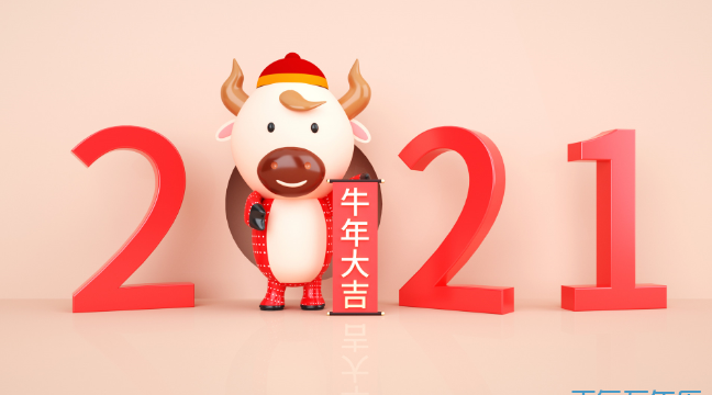 是什么年,2021年是什么年辛丑年吗图4