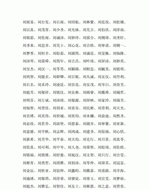 刘姓男孩名字大全202,刘姓男孩起名字大全图1