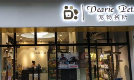 好听不俗的宠物店名字,简洁宠物店名字高端 英文图3