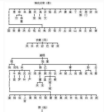 怎么查自己是谁的后代,赵姓是谁的后人图3