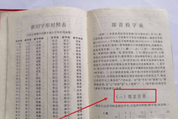 按偏旁部首查字典,新华字典按偏旁部首查字典图2