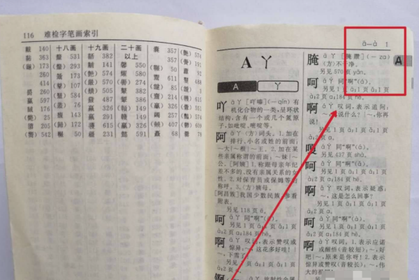 按偏旁部首查字典,新华字典按偏旁部首查字典图6