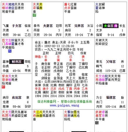 紫微斗数十大贵命命格,怎么看紫薇命格图4