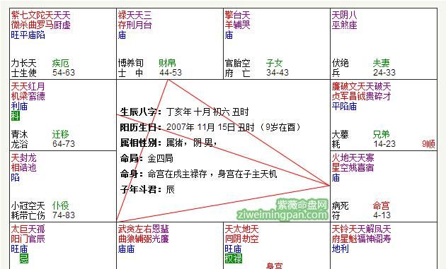 紫薇命盘详解与分析,紫薇命盘详解与分析图2