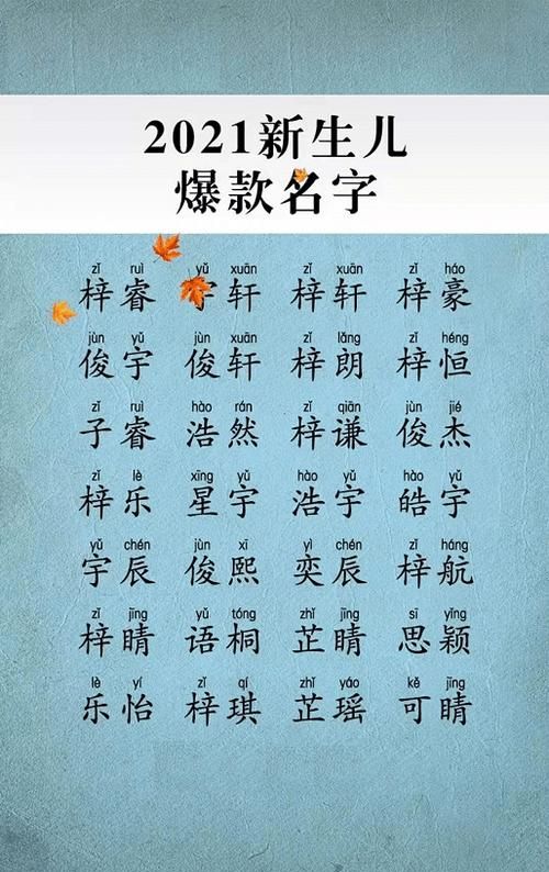 男宝宝名字大全,胡姓男孩名字大全好听的男宝宝胡姓名字图1