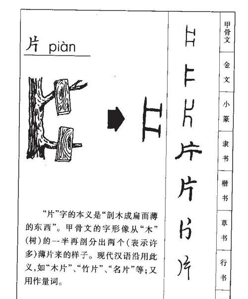 片字的组词怎么组,片字组词有哪些组词图4