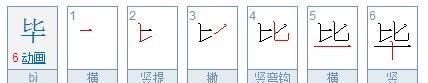 毕的笔顺,毕的繁体字的笔顺图4