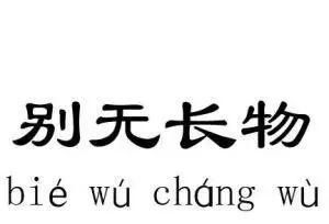 别无长物与身无长物,身无长物和别无长物得意忘言和心照不宣的区别图1