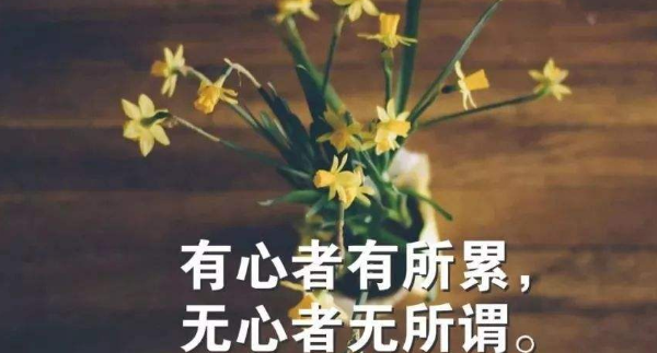 伤感的句子带人生感悟,伤感的句子图3