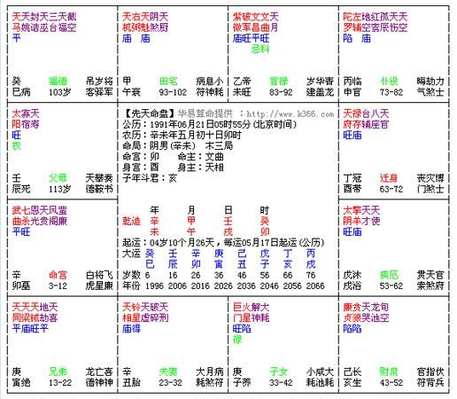 紫微斗数免费自助解盘,紫微斗数在线排盘免费软件图4