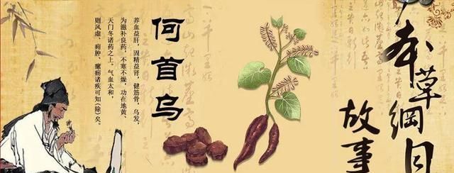 本草纲目里好听的名字,好听又有深意的植物名有寓意的字图3