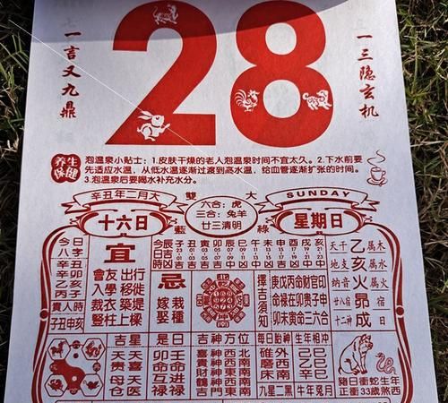 今天属什么生肖老黄历202,生肖日历图3