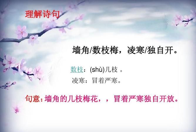 数枝梅的拼音,墙角数枝梅注音版图4