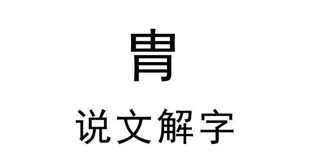 胄怎么读 拼音,胄这个字念什么图3