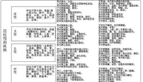 四柱八字基础知识图解,怎么看懂四柱八字排盘图3