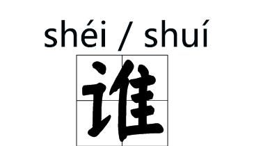 寻的拼音,整体认读音10个图1