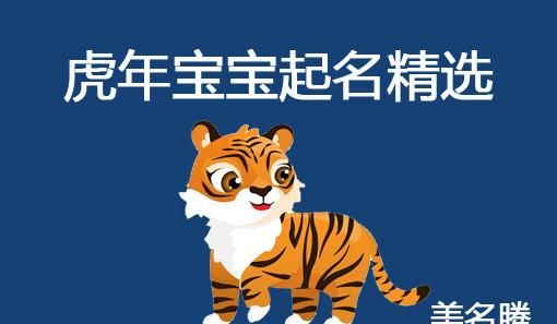 虎年取名字大全男孩,虎年出生的男孩取什么名字好图1