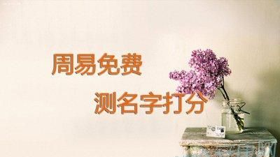 生辰八字姓名测试打分免费周易,生辰八字姓名测试打分免费图2