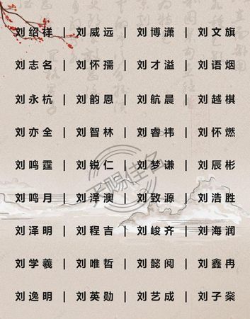 刘姓名字大全,刘姓男宝宝四个字名字大全图5