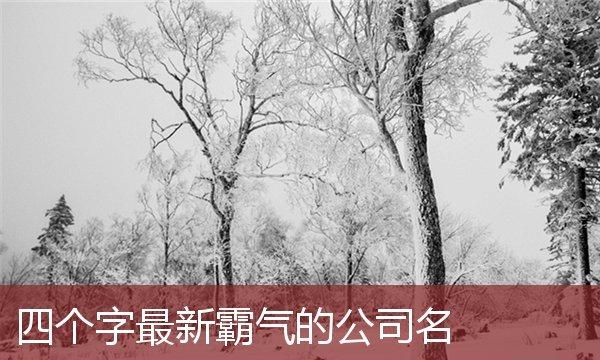 四个字霸气有创意公司名字,新潮的公司名字四个字图4