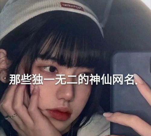 独一无二好听又吸引人的女网名,独一无二的网名女生两个字 霸气图2