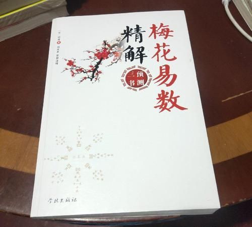 梅花易数一字测字占卜,梅花易数排盘软件图5