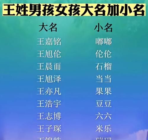 王氏姓名大全男孩名字大全,霸气又聚财的名字大全四个字图1