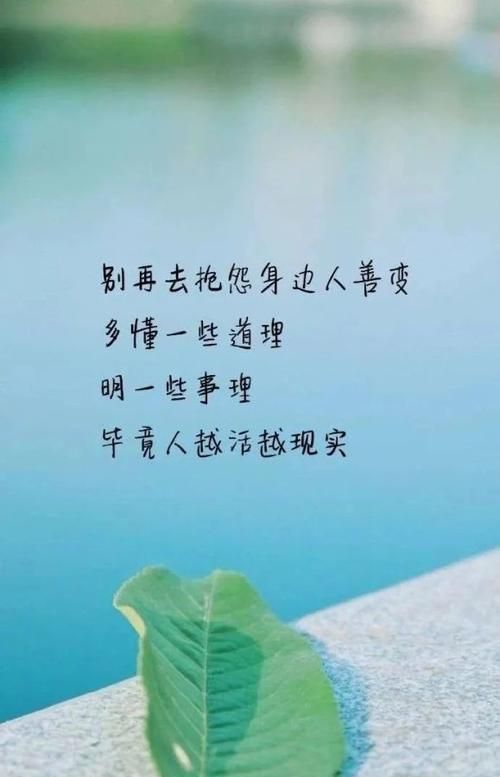 人生哲理句子精辟,人生哲理句子精辟简短10字图1