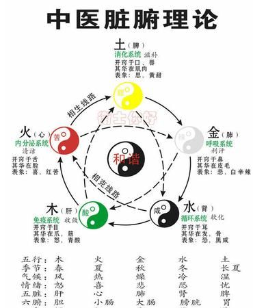 五行金木水火土命查询表,金木水火土查询表大全,2007年属啥啥命图3