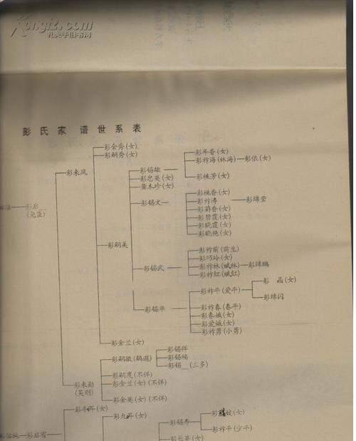 家谱查询,怎么查自己的家谱图1