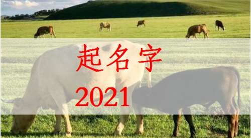 马姓牛宝宝取名大全2021款,牛年马姓宝宝起名大全图4