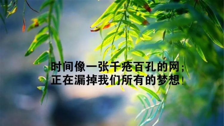 励志语录经典短句,最新励志语录经典短句_语录大全图4