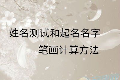 名字笔画测命运和财运,名字笔画测命运和财运图3