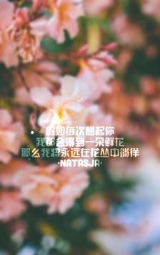 很有意境的两个字,高雅有意境的两个字词语图3